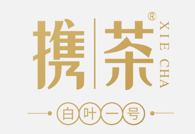 “攜茶”品牌發(fā)布暨“白葉一號(hào)”首采發(fā)布會(huì)舉行